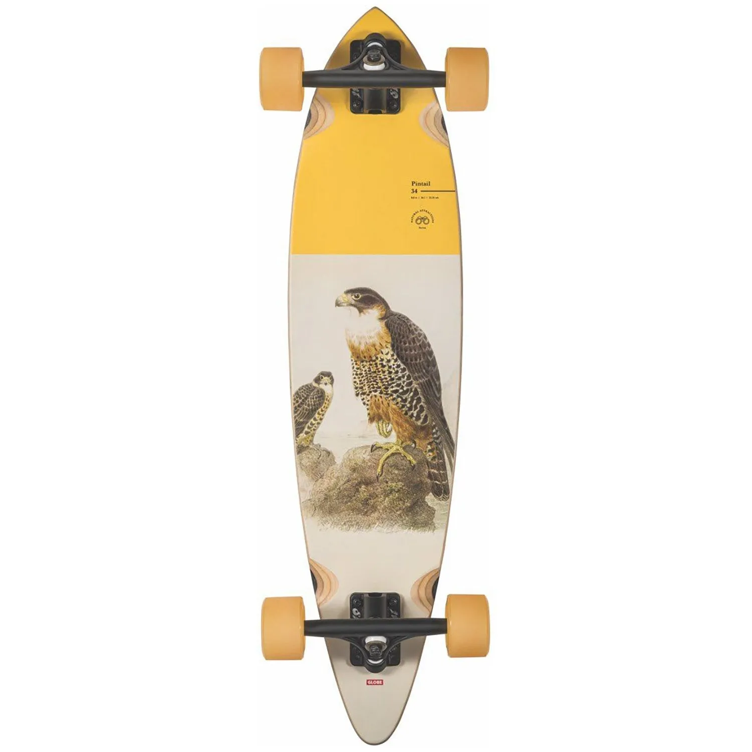 Globe Skateboards Pintail 34 Cruiser - The Falcon