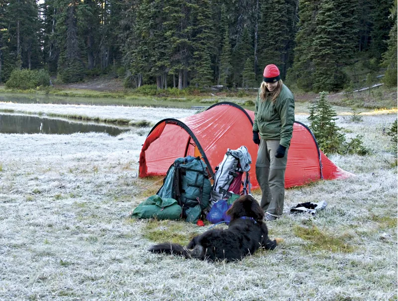 Hilleberg Nallo 4 GT Tent - Green