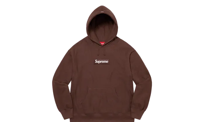 Hoodie Box Logo FW21 Brown