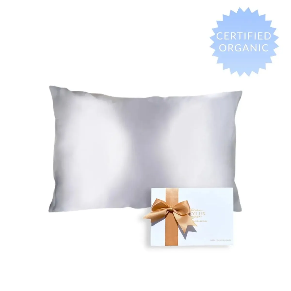 Queen Organic Silk Pillowcase - Light Grey