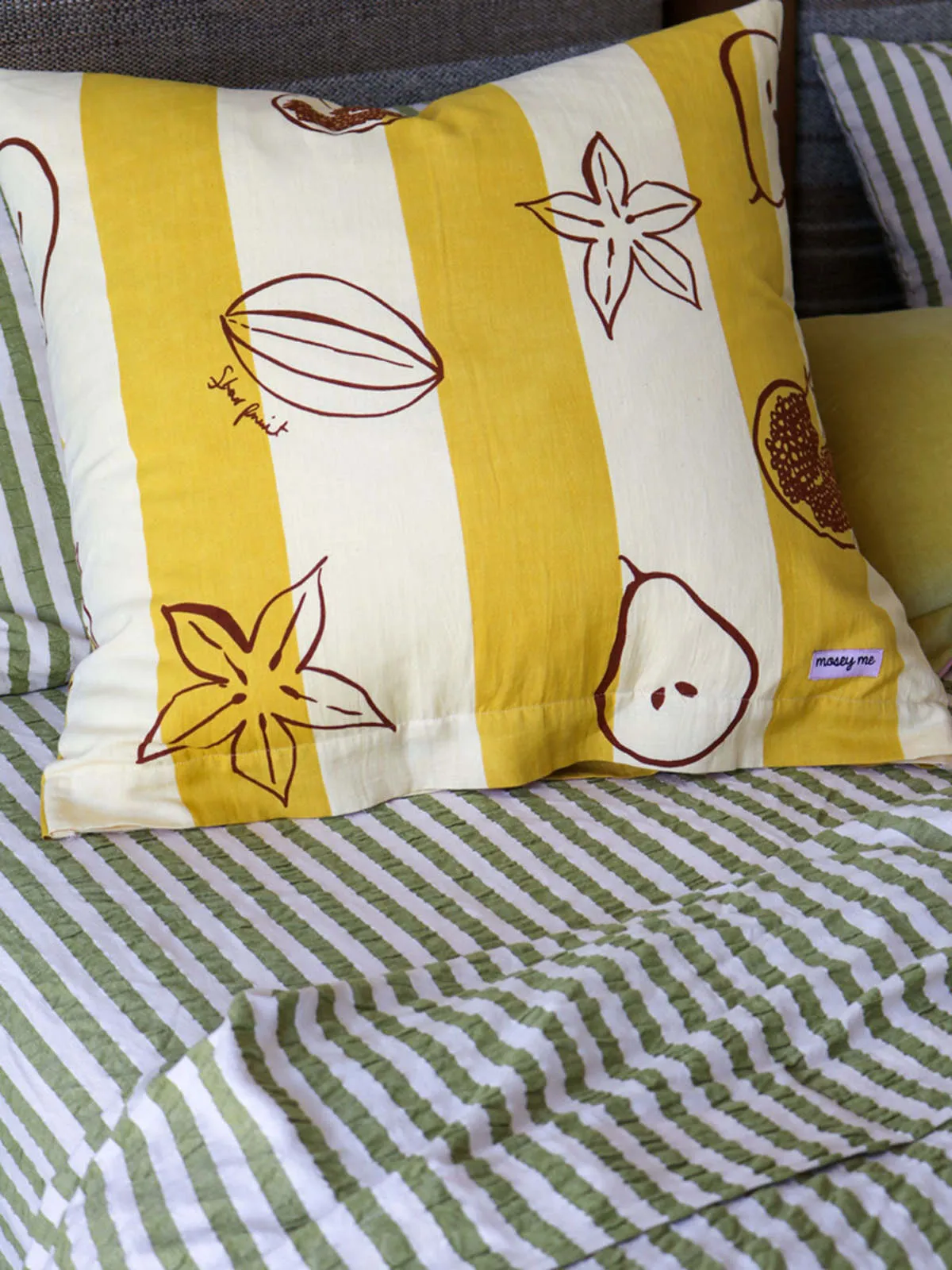 Winter Fruit Euro Pillowcase Set